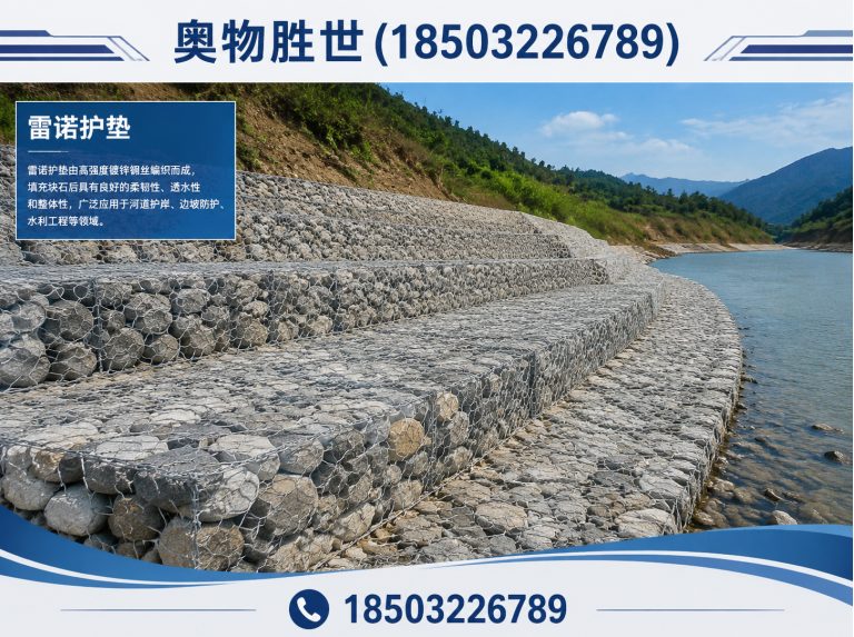 和田雷诺护垫展示图